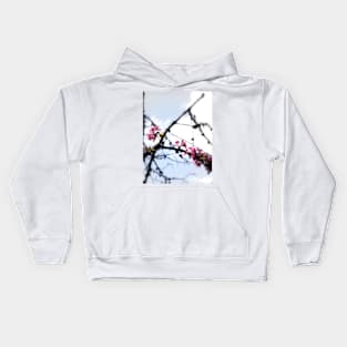 red Malus Radiant crab apple blossoms #7 Kids Hoodie